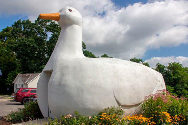 Détails cachés dans les bâtiments