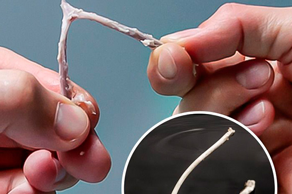 Entreprises avec des produits fous