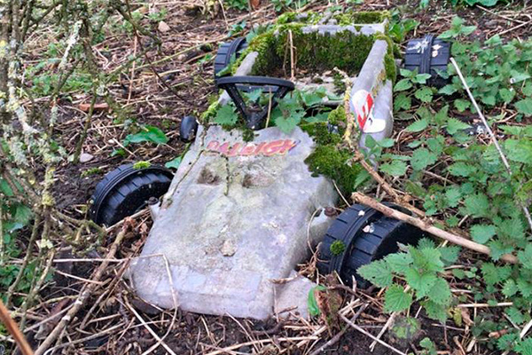 La nature ne peut être arrêtée par rien