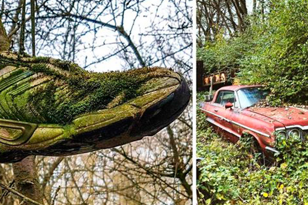 La nature ne peut être arrêtée par rien